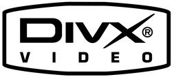 DivX иконка