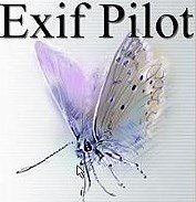 скачать Exif Pilot