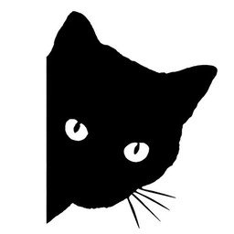 Black Cat иконка